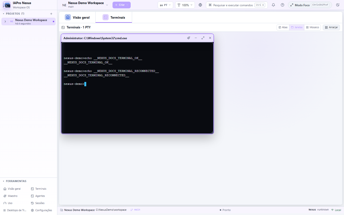 Terminal do Nexus